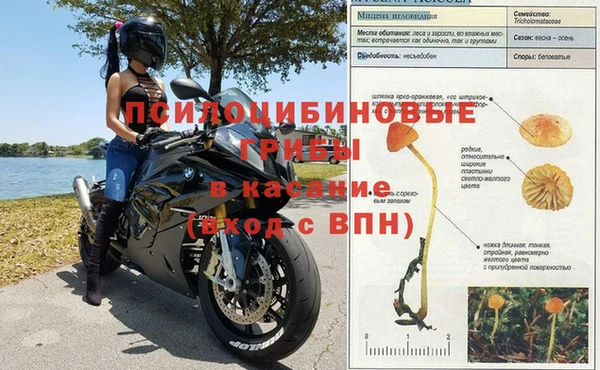 марки nbome Няндома