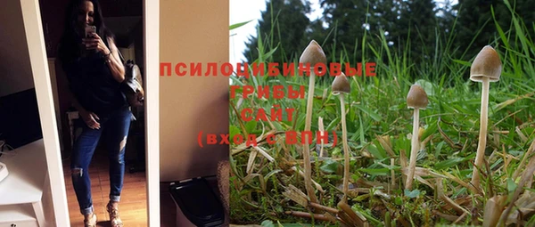 марки nbome Няндома