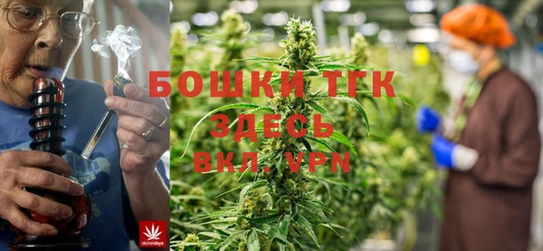 ECSTASY Нязепетровск