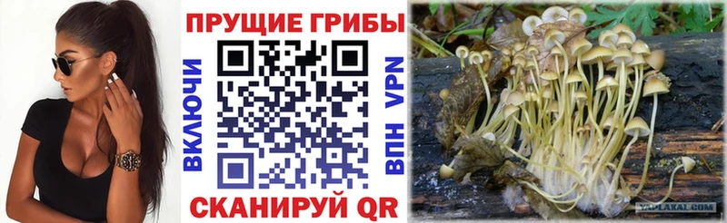 цена наркотик  Белоярский  Галлюциногенные грибы MAGIC MUSHROOMS 